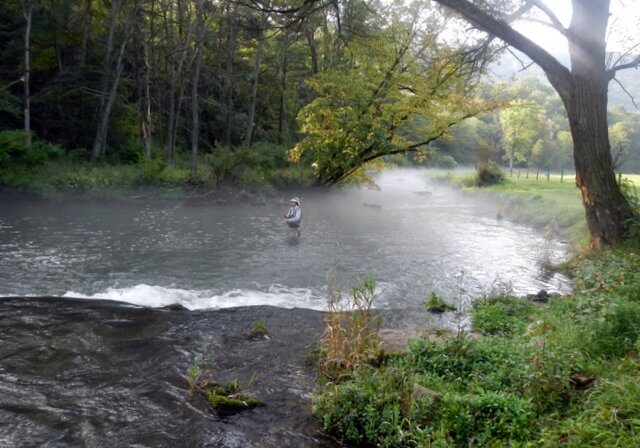 Biggest Wild Trout Pennsylvania Trout Haven Spruce Creek PA Guided Fly Fishing Trip