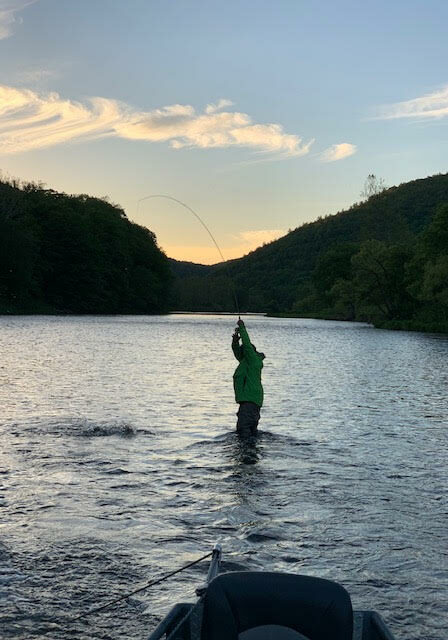 fish on river