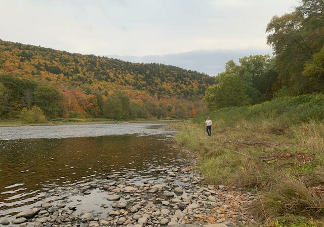 Upper Delaware River Fly Fishing Retreat